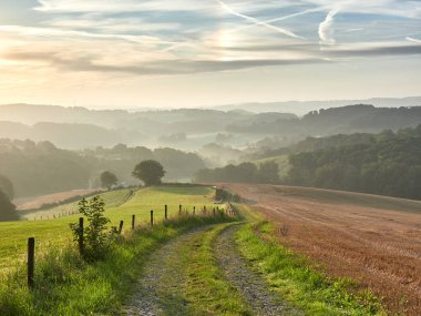 Almanya 'nın Velbert kentindeki kırsal alan Bergisches Land bölgesinde gün doğumunda. Ön planda toprak bir yol ve arka planda puslu bir orman.