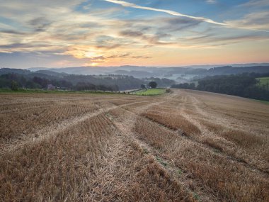 Almanya 'nın Velbert kentindeki kırsal alan Bergisches topraklarında gün doğumunda. Ön planda küflü tarla ve arka planda sisli orman.