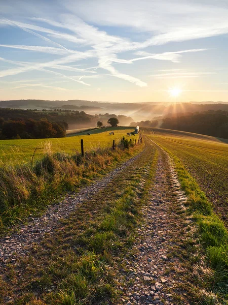 Velbert Niemcy Jesienny Wschód Słońca Regionie Bergisches Land Rano Wypas — Zdjęcie stockowe