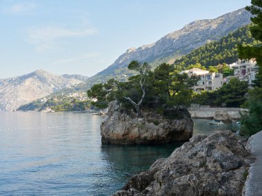 Punta Rata Plajı ve Stone Hırvatistan 'ın Brela tatil beldesinde. Güzel Adriyatik Denizi manzarası. Brela 'nın sembolü