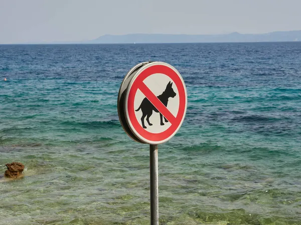 Собакам Нельзя Пляже Знака Входа Собак Хорватский Пляж Людей — стоковое фото