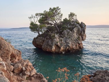 Brela 'daki Punta Rata Plajı. Brela 'nın taş sembolü. Hırvatistan 'ın turkuaz Adriyatik Denizi üzerindeki en güzel sahillerinden biri..
