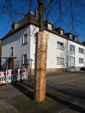 Ağaç gövdesi koruması. Yakınlardaki inşaat alanındaki hasara karşı korunmak için tahtalarla kaplı bir ağaç gövdesi. Şehrin kaldırımındaki ağaç.