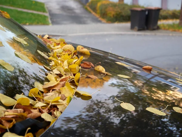 Осенние Желтые Оранжевые Листья Падают Припаркованную Машину Автомобиль Усыпан Осенними — стоковое фото