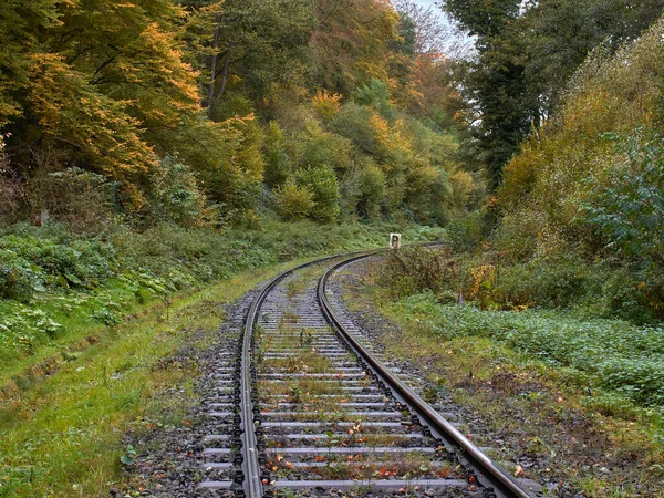 Trilhas Ferroviárias Floresta Outono Uma Ferrovia Dobre Através Floresta Cidade — Fotografia de Stock