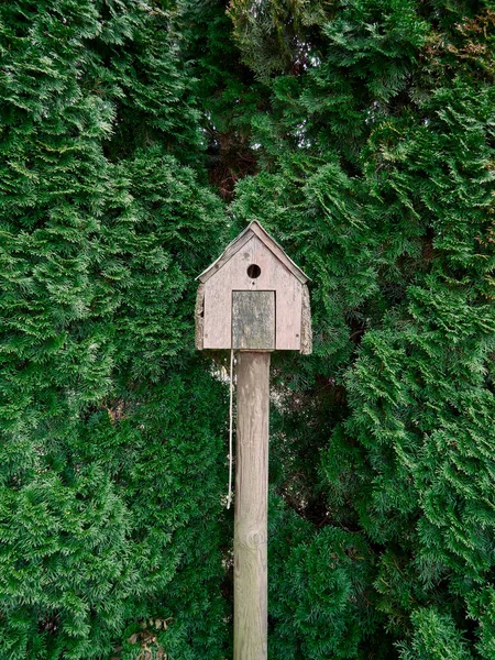 Een Houten Vogelhuisje Een Houten Paal Omringd Door Groene Naaldbomen — Stockfoto