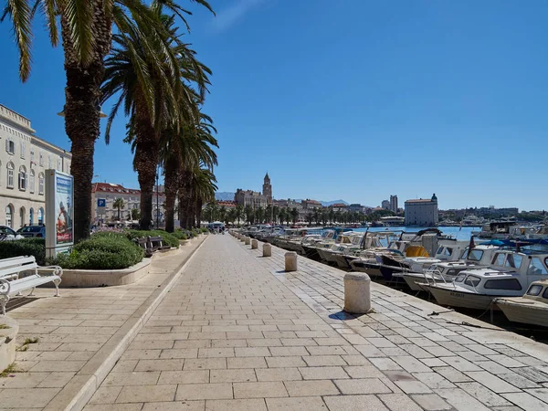 Split Dalmazia Croazia 2020 Splitska Riva Passeggiata Con Palme Tra — Foto Stock