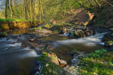 Ormanda kayaların arasından akan Rinderbach nehri. Almanya 'da Heiligenhaus (NRW)
