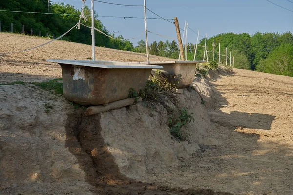 Tarlada hayvanlar için su birikintisi olarak kullanılan iki eski paslı küvet..