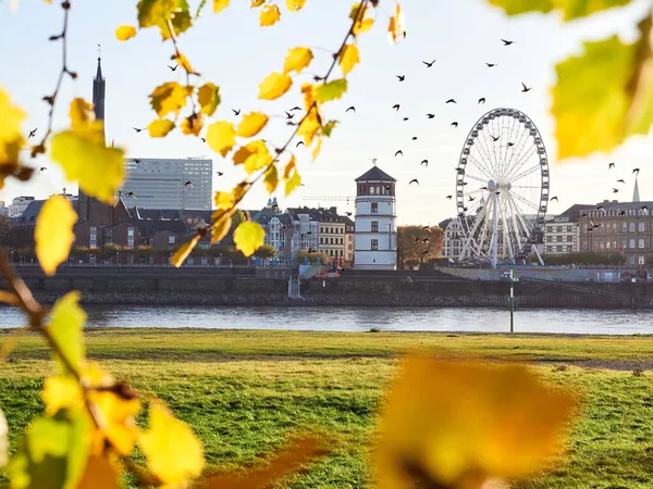 Widok Panoramiczny Stare Miasto Dusseldorf Brzegów Renu Klimacie Jesiennym Stado — Zdjęcie stockowe