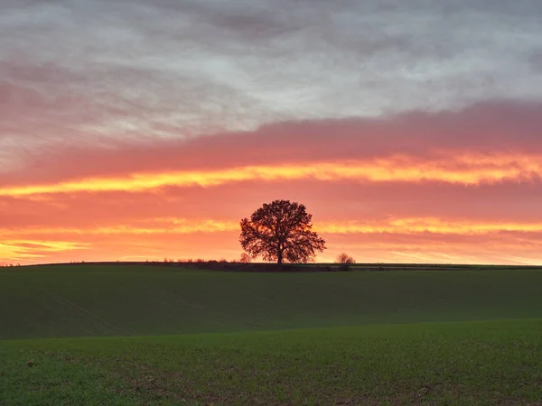 Piękny Jesienny Zachód Słońca Niemieckim Mieście Heiligenhaus Regionie Bergisches Land — Zdjęcie stockowe