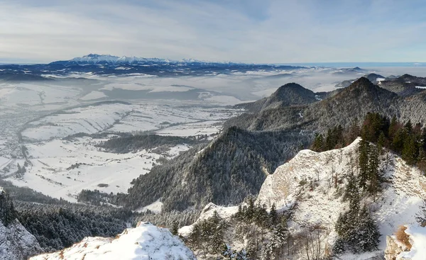 Panoramic view of the Pieniny Mountains with the Tatra Mountains in the background. A beautiful winter landscape seen from the top of Okraglica. Frosty morning in the mountains.