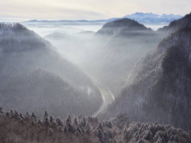 Winter landscape of the Pieniny Mountains with the Tatra Mountains in the background. View of the Dunajec gorge from the top of Czertezik. Frosty morning in the mountains.