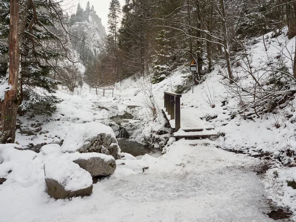 Homole gorge nature reserve in Poland. Winter in the Pieniny Mountains.