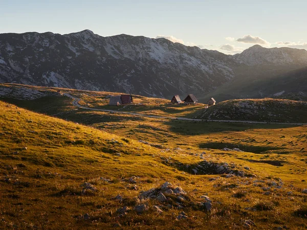A sheep pasture in the Durmitor mountains under the light of the setting sun. Mountain landscape of the National Park in Montenegro.