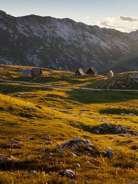 A sheep pasture in the Durmitor mountains under the light of the setting sun. Mountain landscape of the National Park in Montenegro. Vertical view