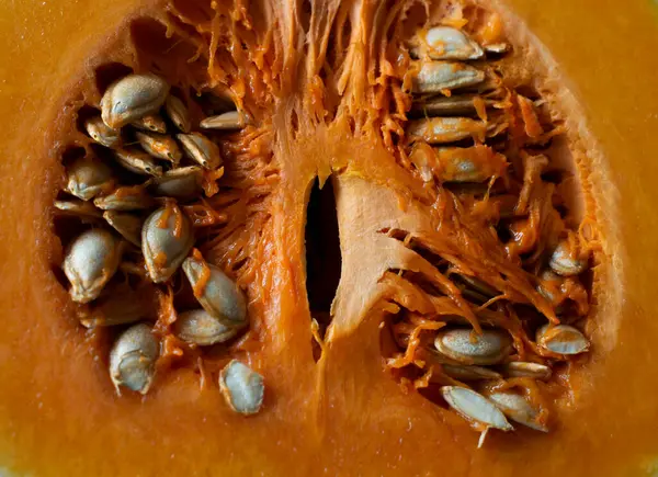 pumpkin pulp in section, pumpkin pulp with seeds