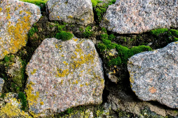 Yeşil yosun kaplı taş duvar, arkaplan dokusu,
