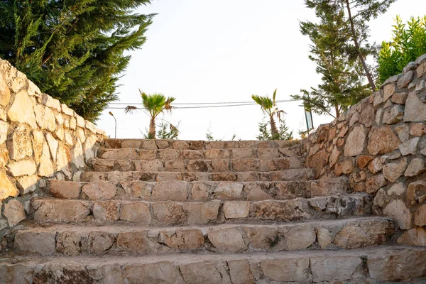Kahverengi ve bej taşlı merdivenler, kenarlarında ağaçlar ve önünde palmiyeler olan ağaçlar sabah güneş doğarken deniz kenarında sıcak bir tropik tatil yerine gidiyor.