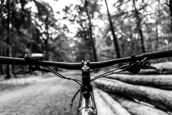 Вид Руль Электрического Горного Велосипеда Лесу Деревьями Спереди Лесной Дорожкой — стоковое фото