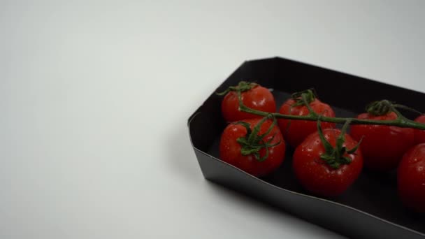 Camera Panning Left Right Small Red Tomatoes Green Branch Water — Vídeo de Stock