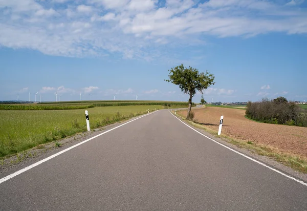 Carretera Campo Con Campos Agrícolas Lado Cielo Azul —  Fotos de Stock