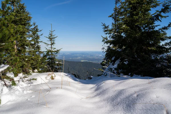 Yanlarında köknar ağaçları ve kışın güneşli bir günde mavi gökyüzü olan dağın tepesinde kar. 
