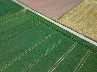 View from above of growing grain fields and plowed fields with a road in the middle in spring