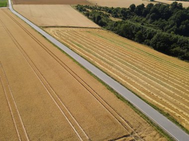 Aerial view of ripe grainfields with a road in the middle on a sunny day in summer 