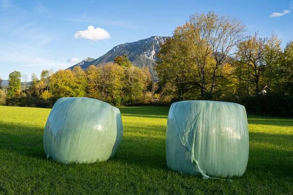 Two bales of hay wrapped in foil in the meadow on a warm autumn day with trees, mountains and blue sky in the background