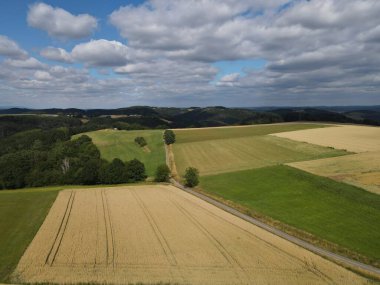 Yazın tarım arazileri ve ağaçlarla dolu bir arazinin havadan görünüşü 