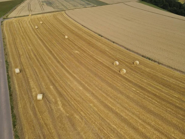 Vue Aérienne Des Balles Foin Sur Champ Agricole Par Une — Photo