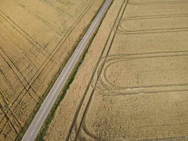 View from above of a single lane road between wheat fields in summer