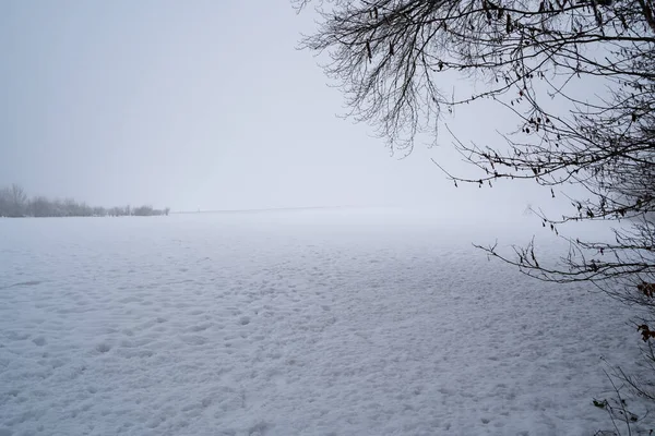 Sisli bir sabahta kar yağan kış manzarası