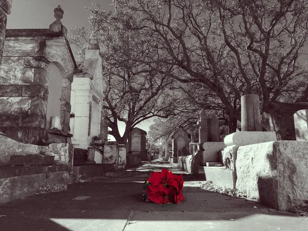 Νεκροταφείο Νέας Ορλεάνης Ασπρόμαυρο Χρώμα Pop — Φωτογραφία Αρχείου