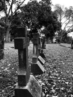 Rahibeler dinleniyor.