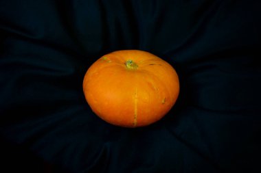 Siyah arka planda Cadılar Bayramı turuncu kabağı 