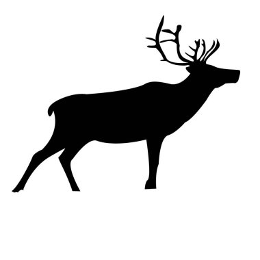 Beyaz arka plan siluetinde bir ren geyiği