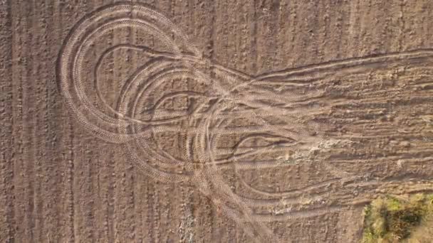 Pistas circulares de maquinaria agrícola en el campo, vista aérea. — Vídeo de stock