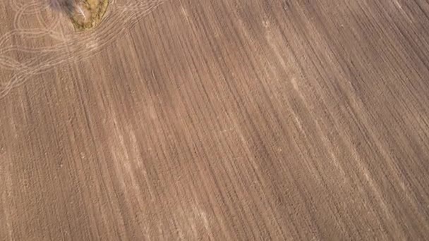 Linhas de sulco retas em um campo agrícola arado, vista aérea. — Vídeo de Stock