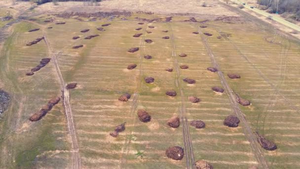 Fileiras de montes de estrume num campo agrícola, vista aérea. — Vídeo de Stock