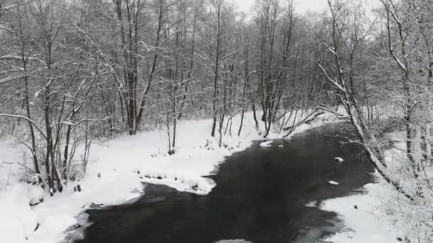 Sneeuwoverdekt winterlandschap met een niet-vriesende rivier, uitzicht vanuit de lucht. — Stockvideo