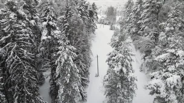 Underbart snötäckt vinterskog i svalt väder, flygutsikt. — Stockvideo