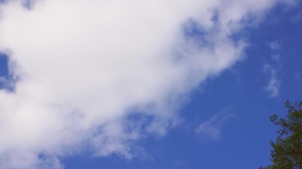 Hermoso cielo azul con nubes blancas en movimiento, panorama. — Vídeos de Stock