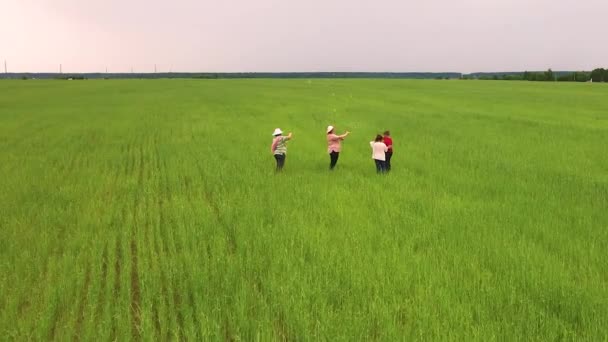 Jovens mulheres e crianças sopram bolhas em um campo verde. — Vídeo de Stock