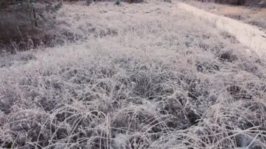 Beyaz çimenli bir tarla güzel bir şekilde kıpkırmızı ve havadan manzaralı..