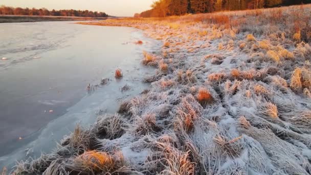 Берег замерзшей реки покрыт белым морозом, вид с воздуха. — стоковое видео