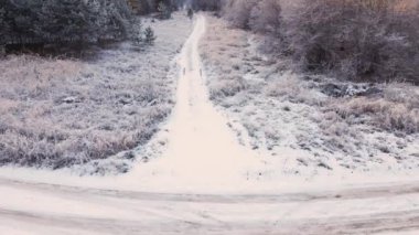 Tarla, yol, ağaçlar, hava manzarası beyaz buzla kaplı. Kışın, 