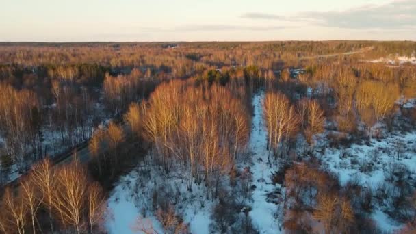Prachtig besneeuwd winterlandschap met bomen bij zonsondergang, uitzicht vanuit de lucht. — Stockvideo