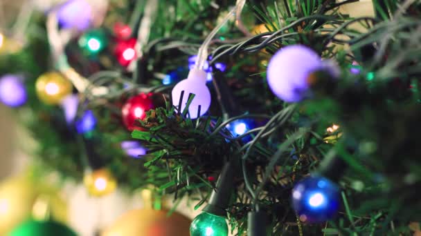 The lights of the multi-colored Christmas garland on the green branch flicker. — Stock Video